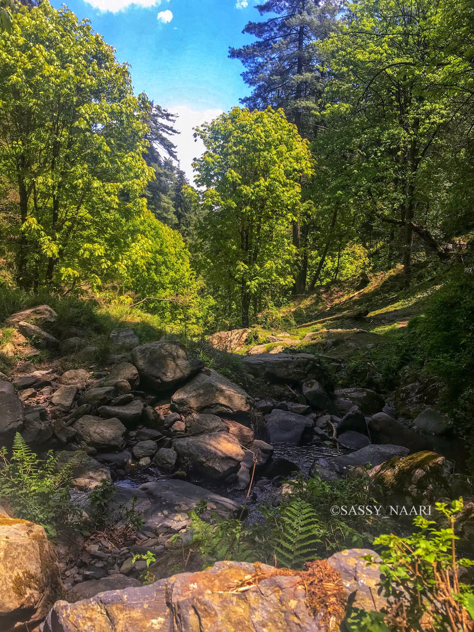 Photo of PRASHAR LAKE: A TREKKING PARADISE by Sudha | Sassy Naari