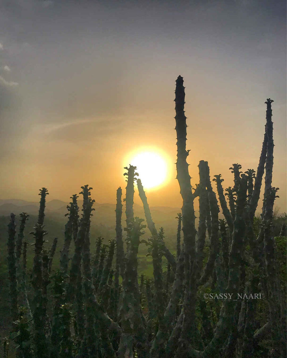 Photo of Bahubali Hills Udaipur, Morwaniya, Rajasthan, India by Sudha | Sassy Naari