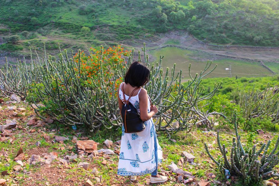 Photo of BAHUBALI HILL: Nature’s Hidden Gem in the Lake City of Udaipur #MyDiscovery by Sudha | Sassy Naari