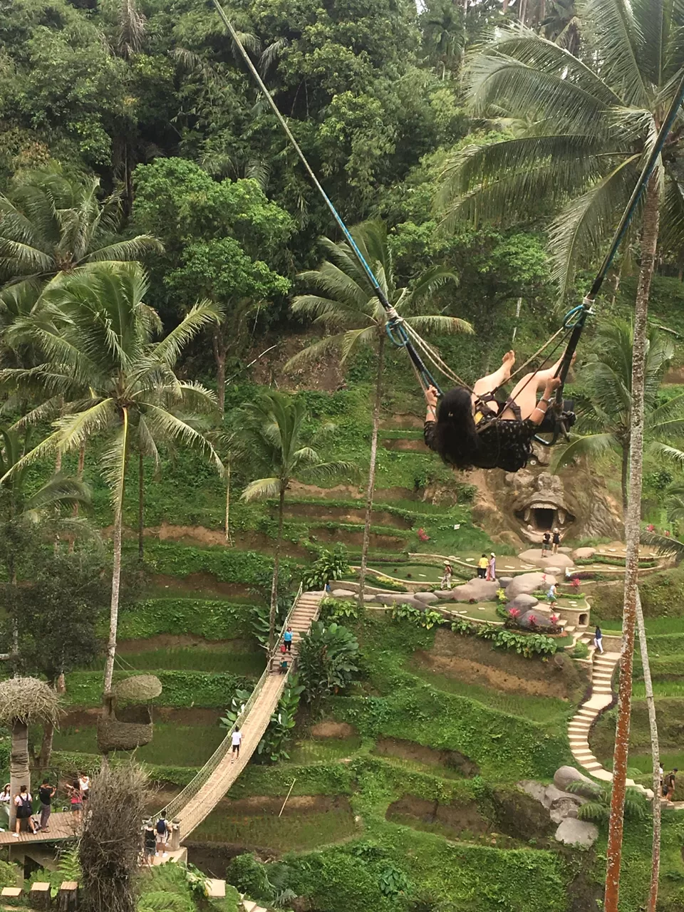 Photo of Ubud Rice Fields, Singakerta, Gianyar, Bali, Indonesia by Pingu goes tripping!