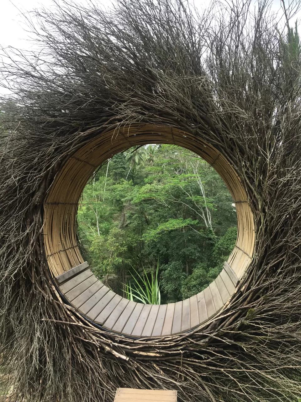Photo of Ubud Rice Fields, Singakerta, Gianyar, Bali, Indonesia by Pingu goes tripping!