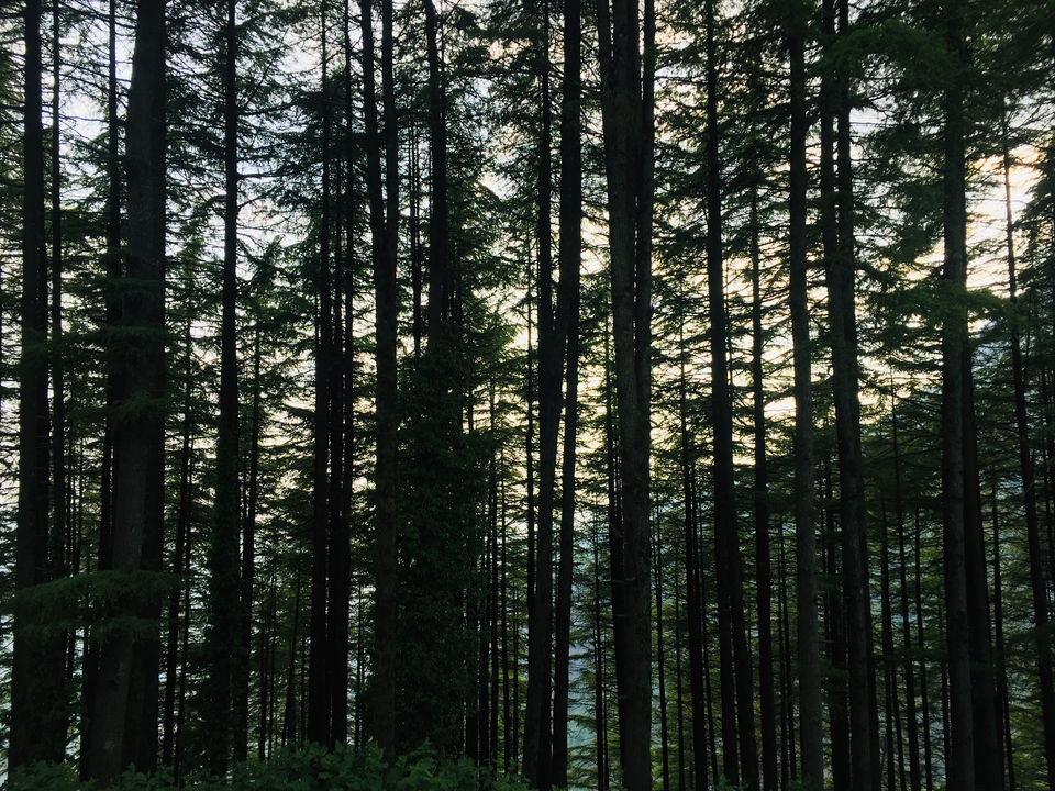 Photo of Dhanaulti, The Unseen Town by Akshit Nassa