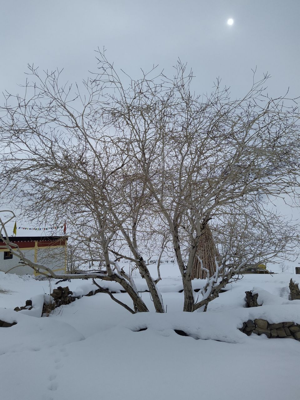 Photo of Spiti: The Winter Wonderland by Bhaskar Tamang