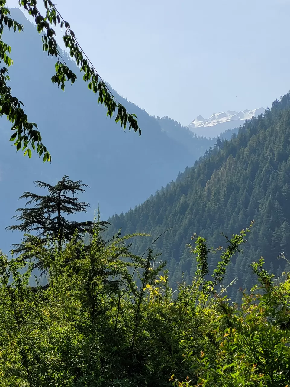 Photo of Chalal Trek Trail by Bhaskar Tamang