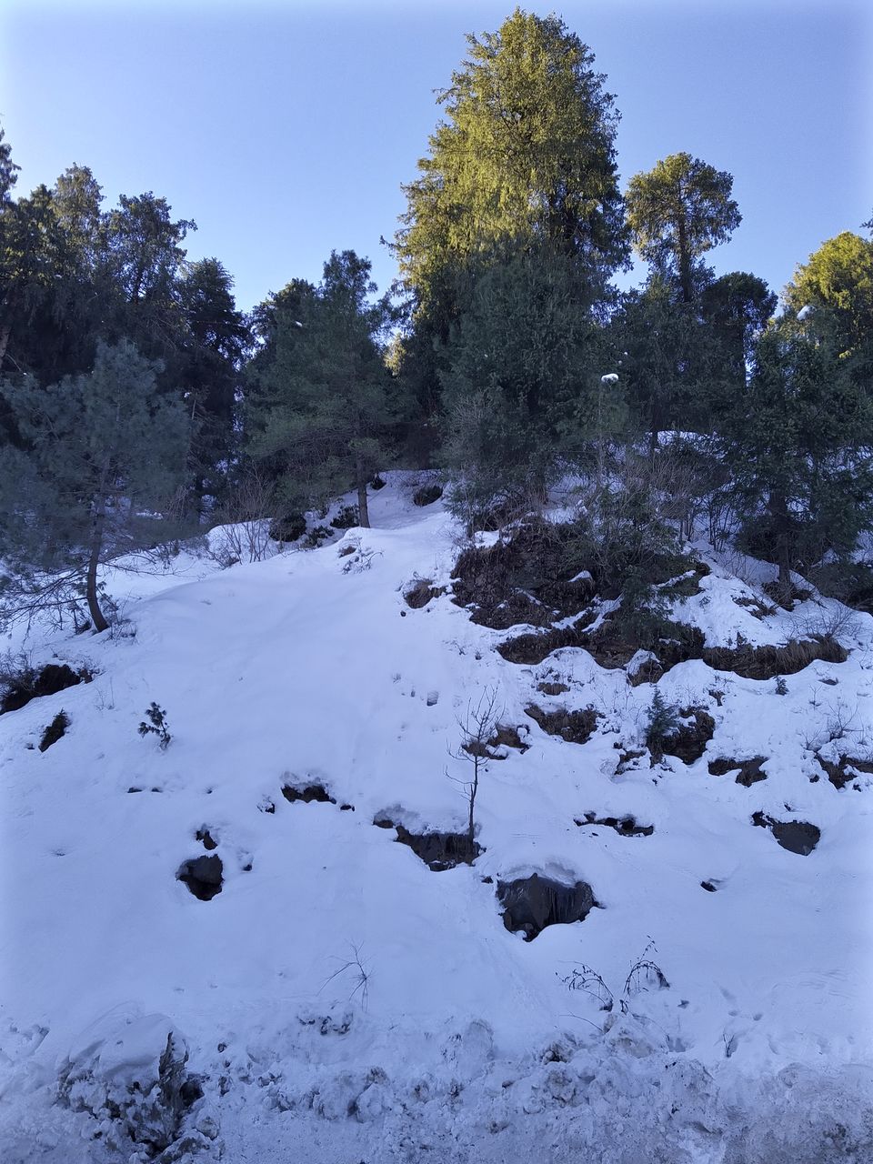 Photo of Rampur Bushahr, Himachal Pradesh, India by Bhaskar Tamang