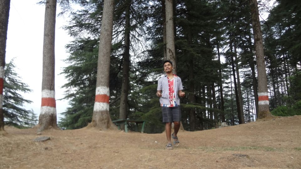 Photo of Dhanaulti-Kanatal-Rishikesh by Shashikant Bhatt