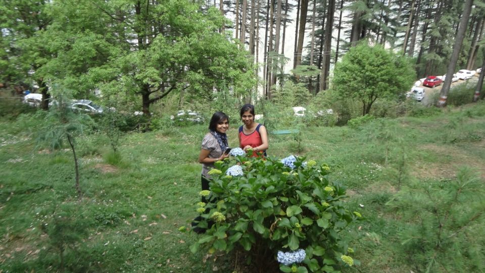 Photo of Dhanaulti-Kanatal-Rishikesh by Shashikant Bhatt