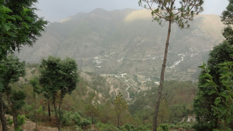 Photo of Dhanaulti-Kanatal-Rishikesh by Shashikant Bhatt