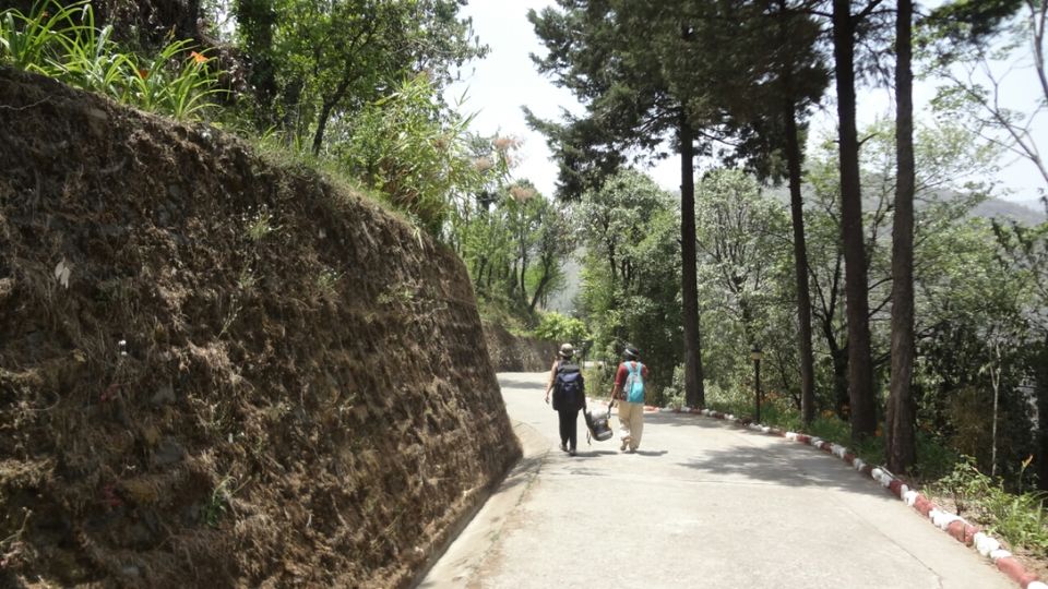 Photo of Dhanaulti-Kanatal-Rishikesh by Shashikant Bhatt