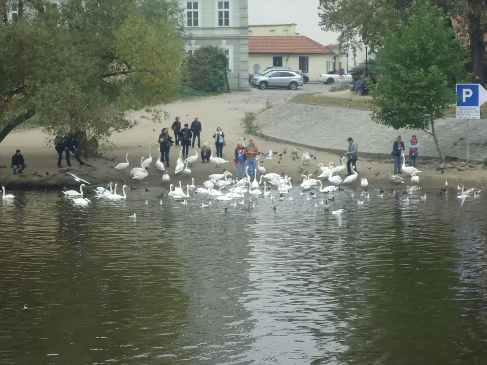 Photo of Vltava River, Mělník District, Czech Republic by sarica96.ss