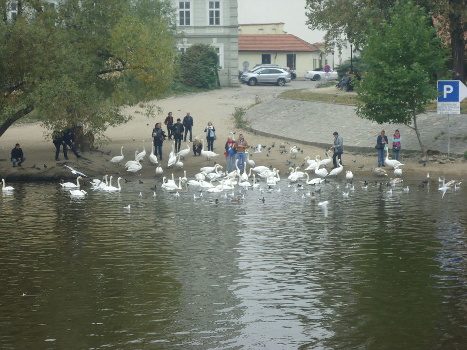 Photo of Magnificent Prague 1/15 by sarica96.ss