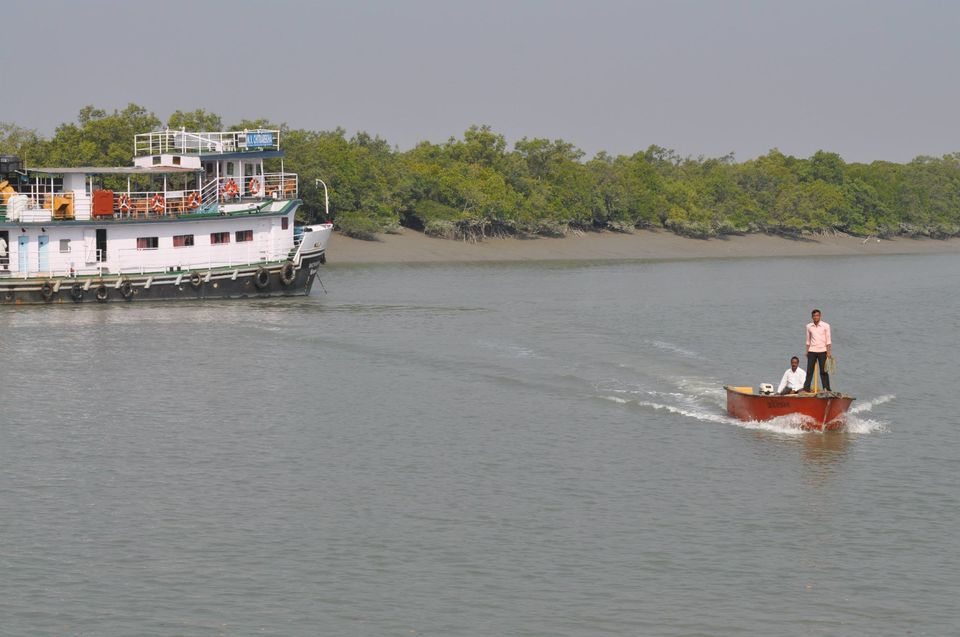 Photo of Sunderbans: Worth a brisk visit for the spectacular starlit sky 7/11 by Shreya Das