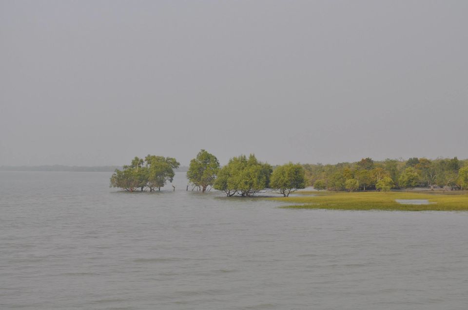 Photo of Sunderbans: Worth a brisk visit for the spectacular starlit sky 9/11 by Shreya Das