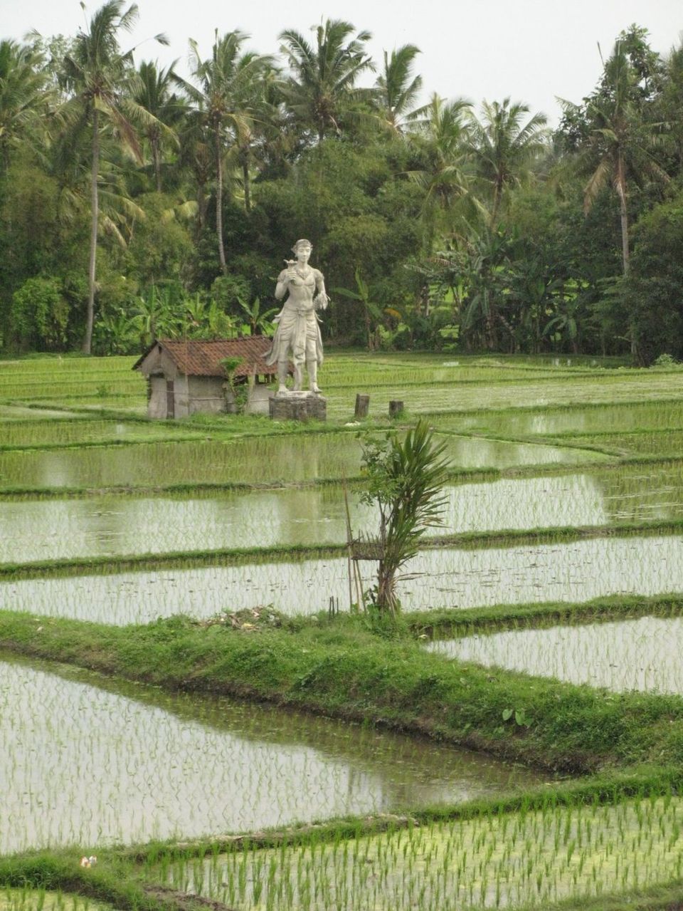 Photo of Museum Rudana, Bali, July 2008 8/17 by Gita Madhu