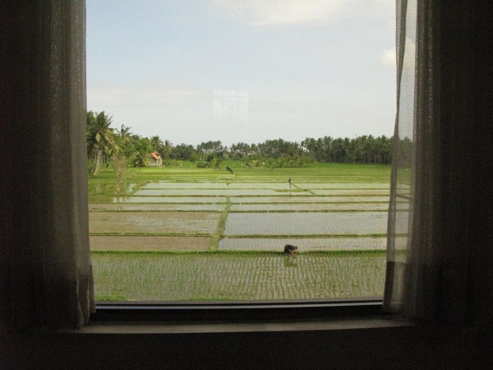 Photo of Museum Rudana, Bali, July 2008 13/17 by Gita Madhu