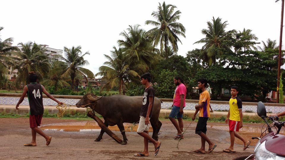 Photo of Goa at 34th Wedding Anniversary 18/22 by Gita Madhu
