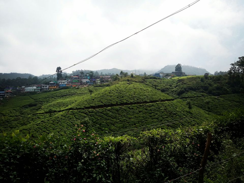 Photo of Kerala, India by Amit Mandaliya