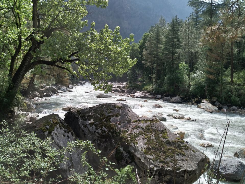 Photo of Amazing Trip by rahul singh