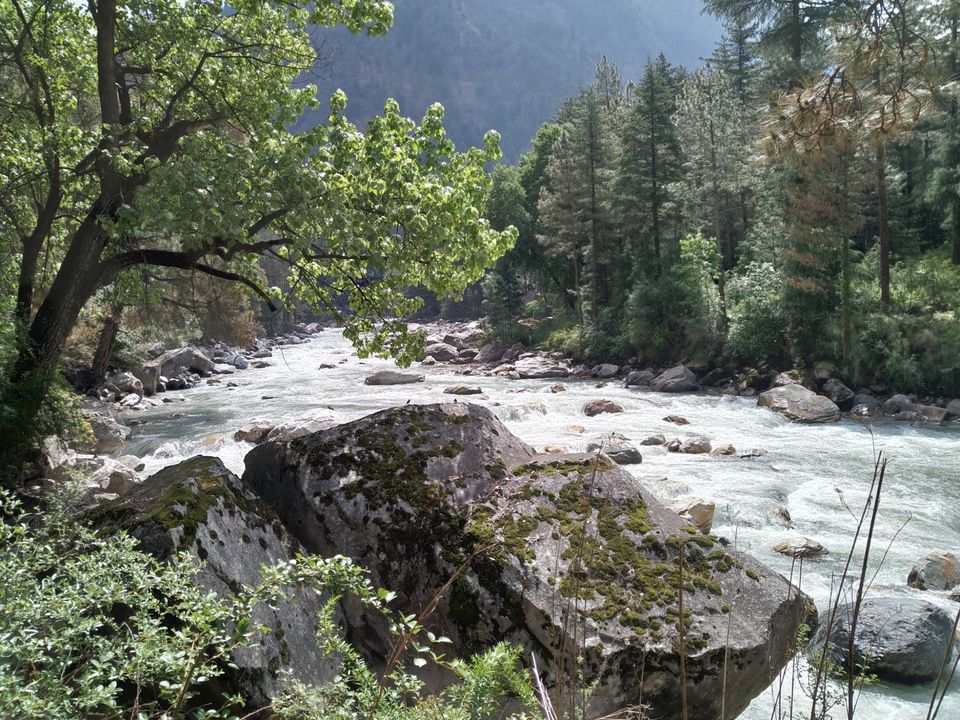 Photo of Amazing Trip by rahul singh