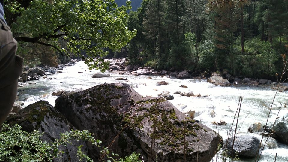 Photo of Amazing Trip by rahul singh