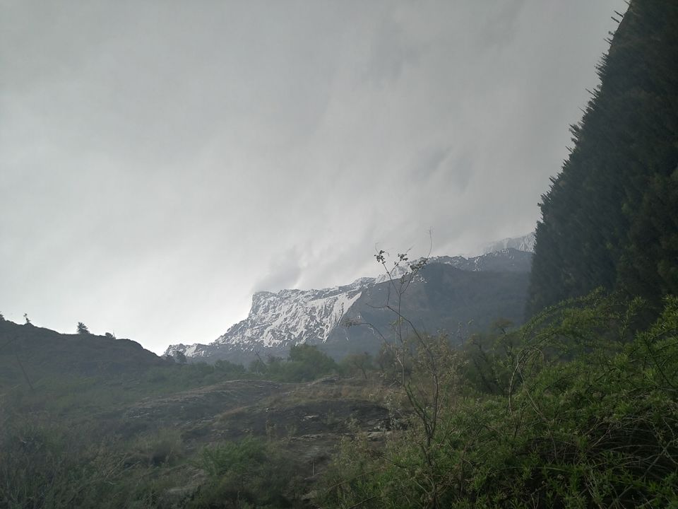 Photo of Amazing Trip by rahul singh