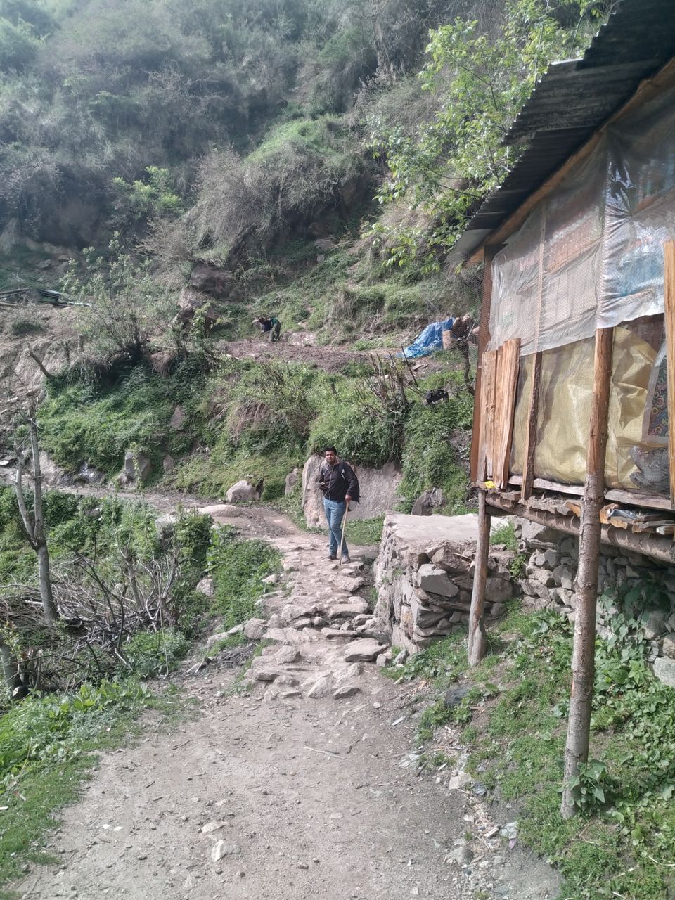 Photo of Amazing Trip by rahul singh