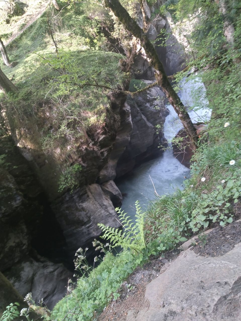 Photo of Amazing Trip by rahul singh