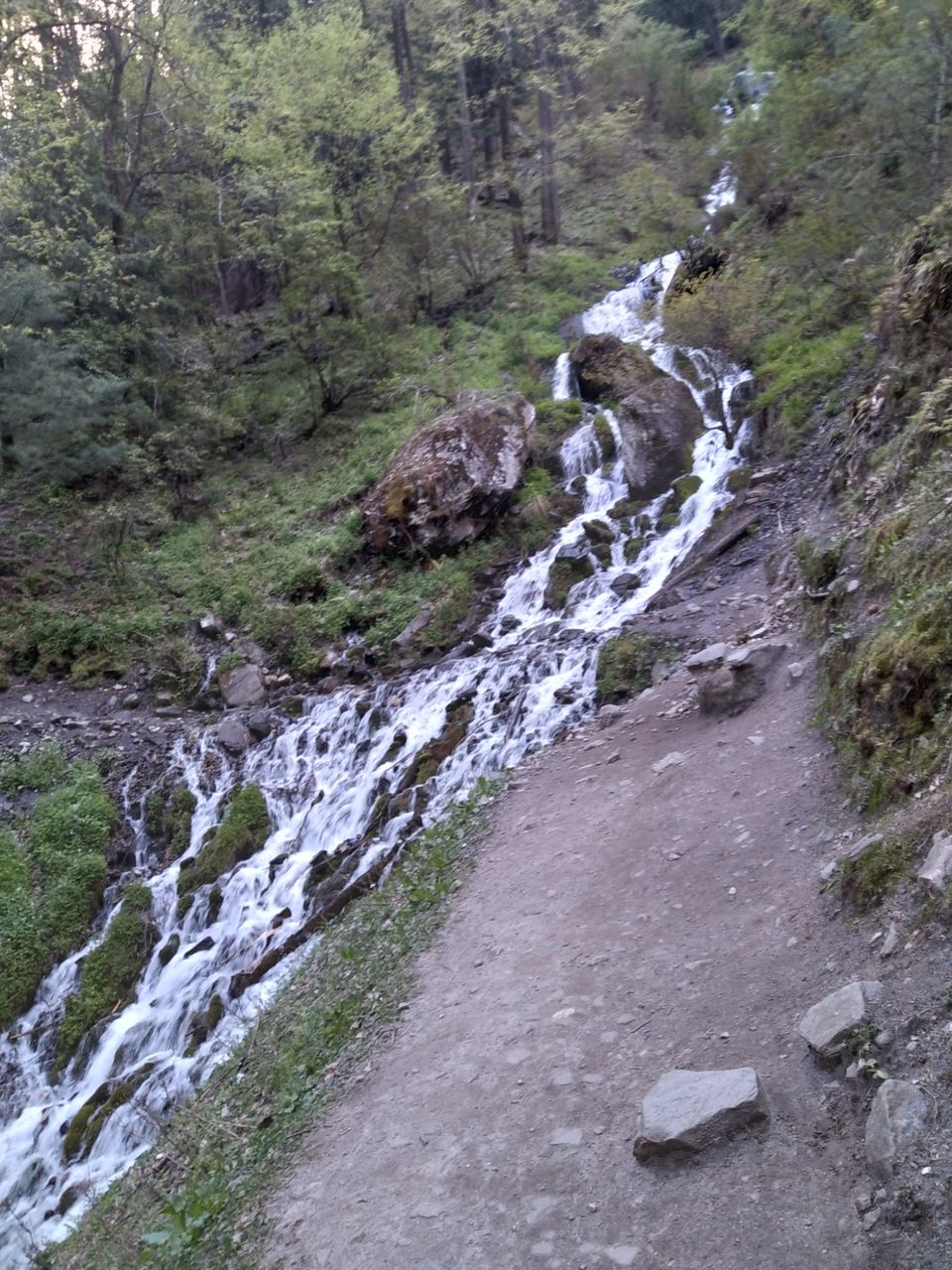 Photo of Amazing Trip by rahul singh
