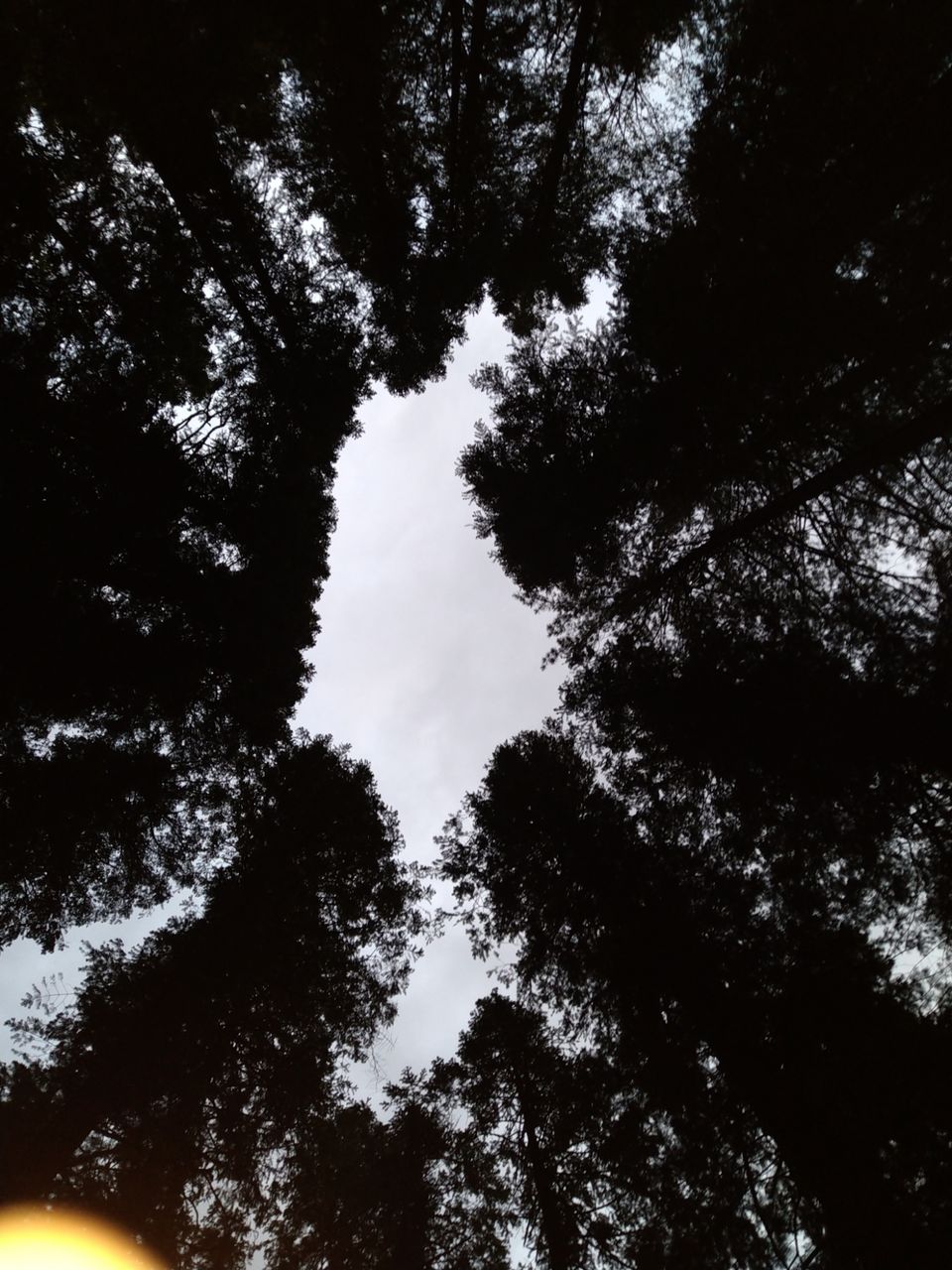 Photo of Amazing Trip by rahul singh