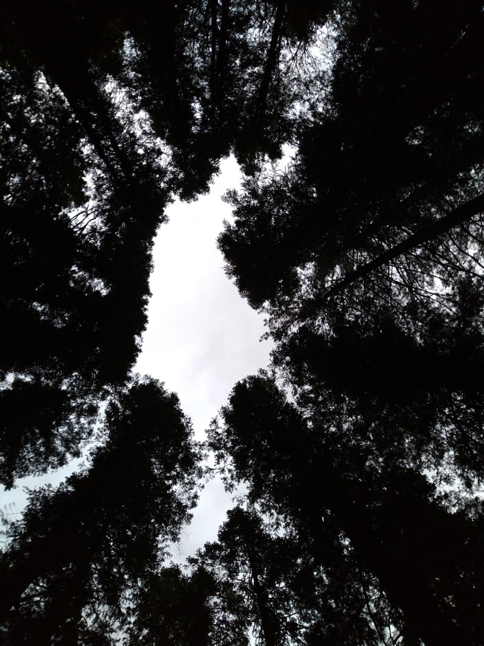 Photo of Amazing Trip by rahul singh