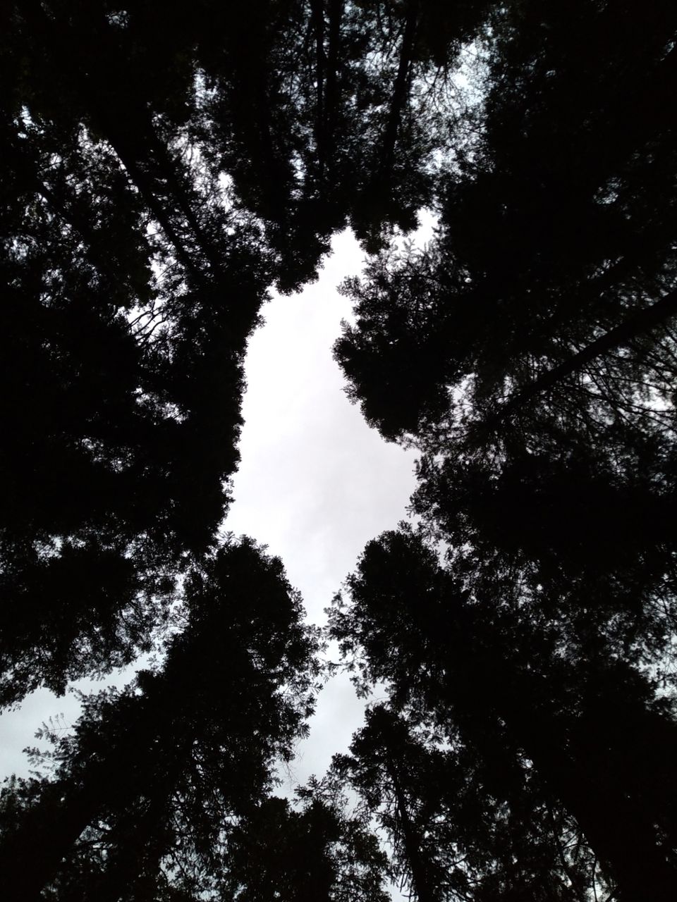 Photo of Amazing Trip by rahul singh
