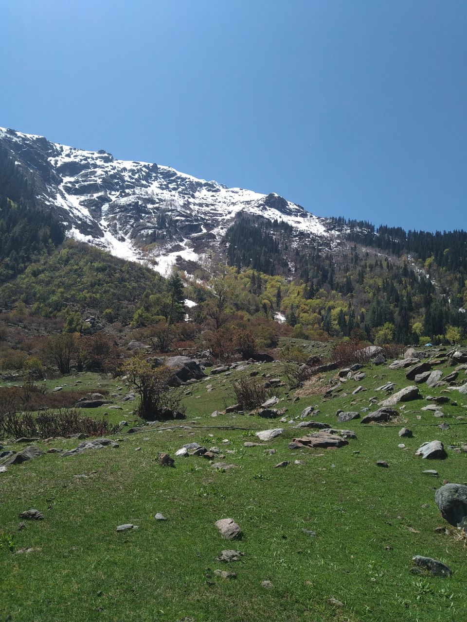 Photo of Amazing Trip by rahul singh