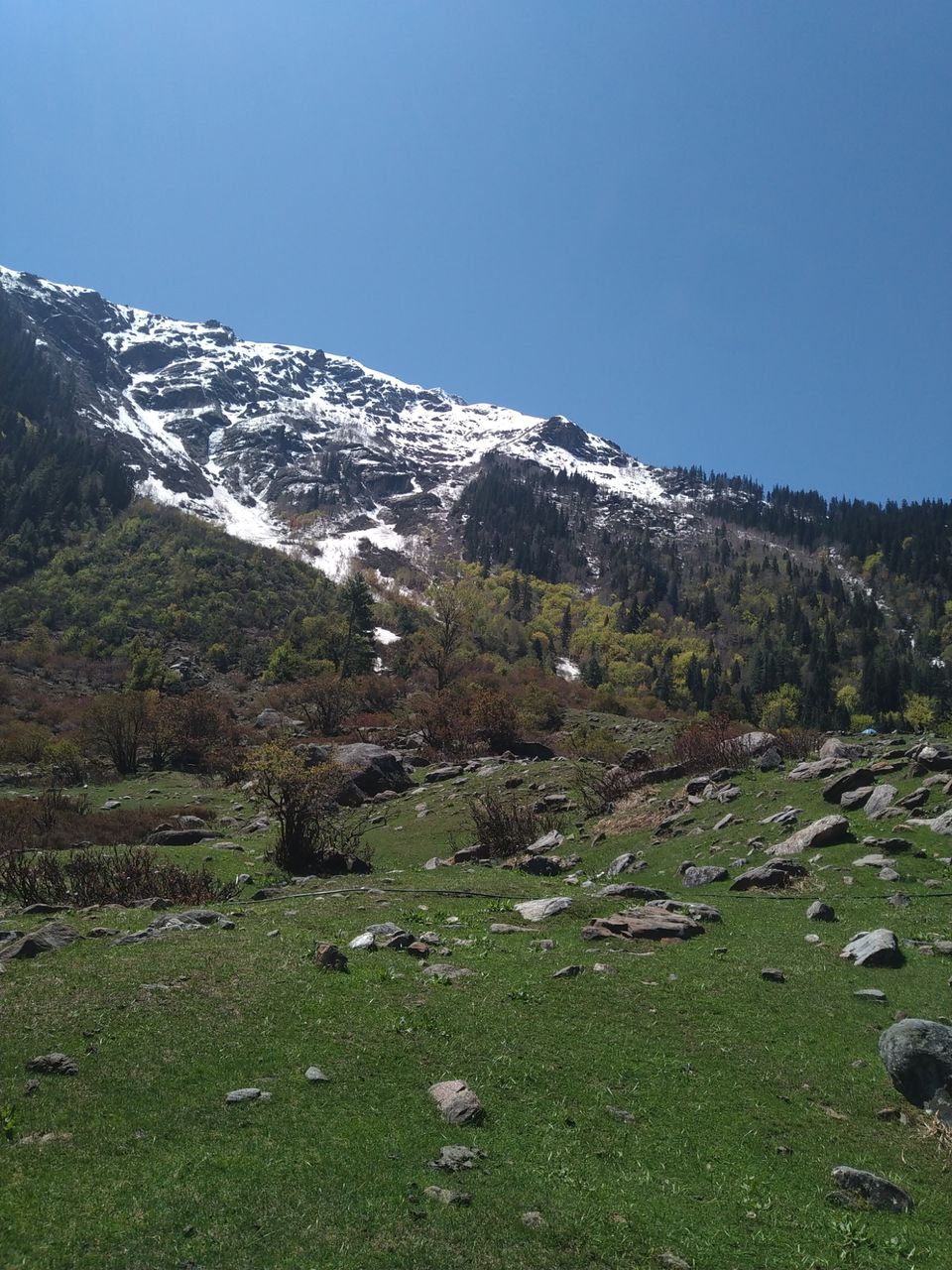 Photo of Amazing Trip by rahul singh
