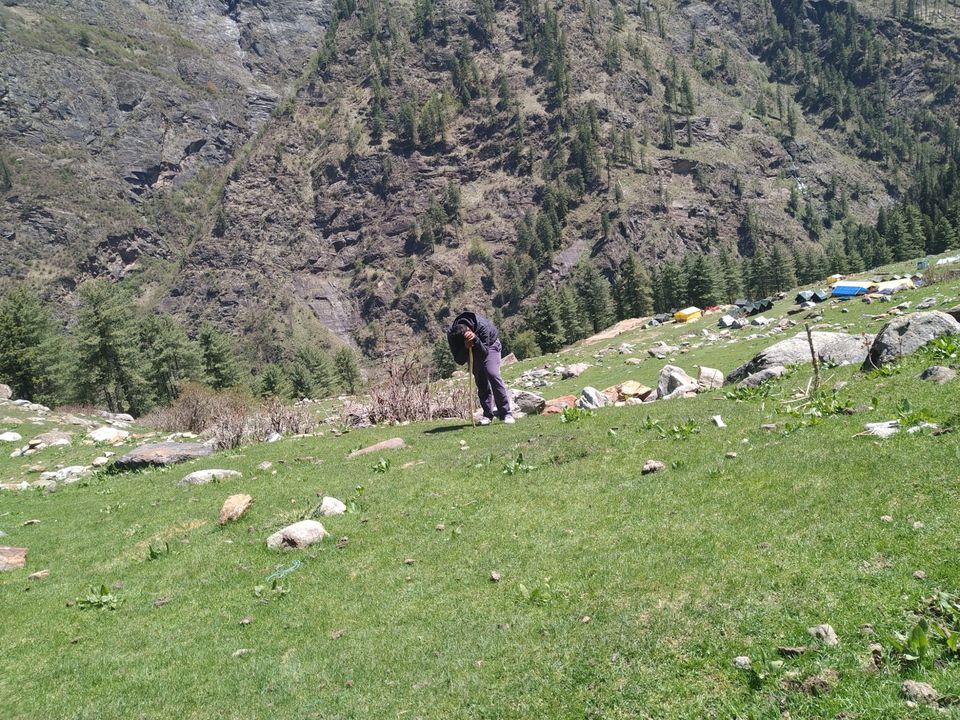 Photo of Amazing Trip by rahul singh