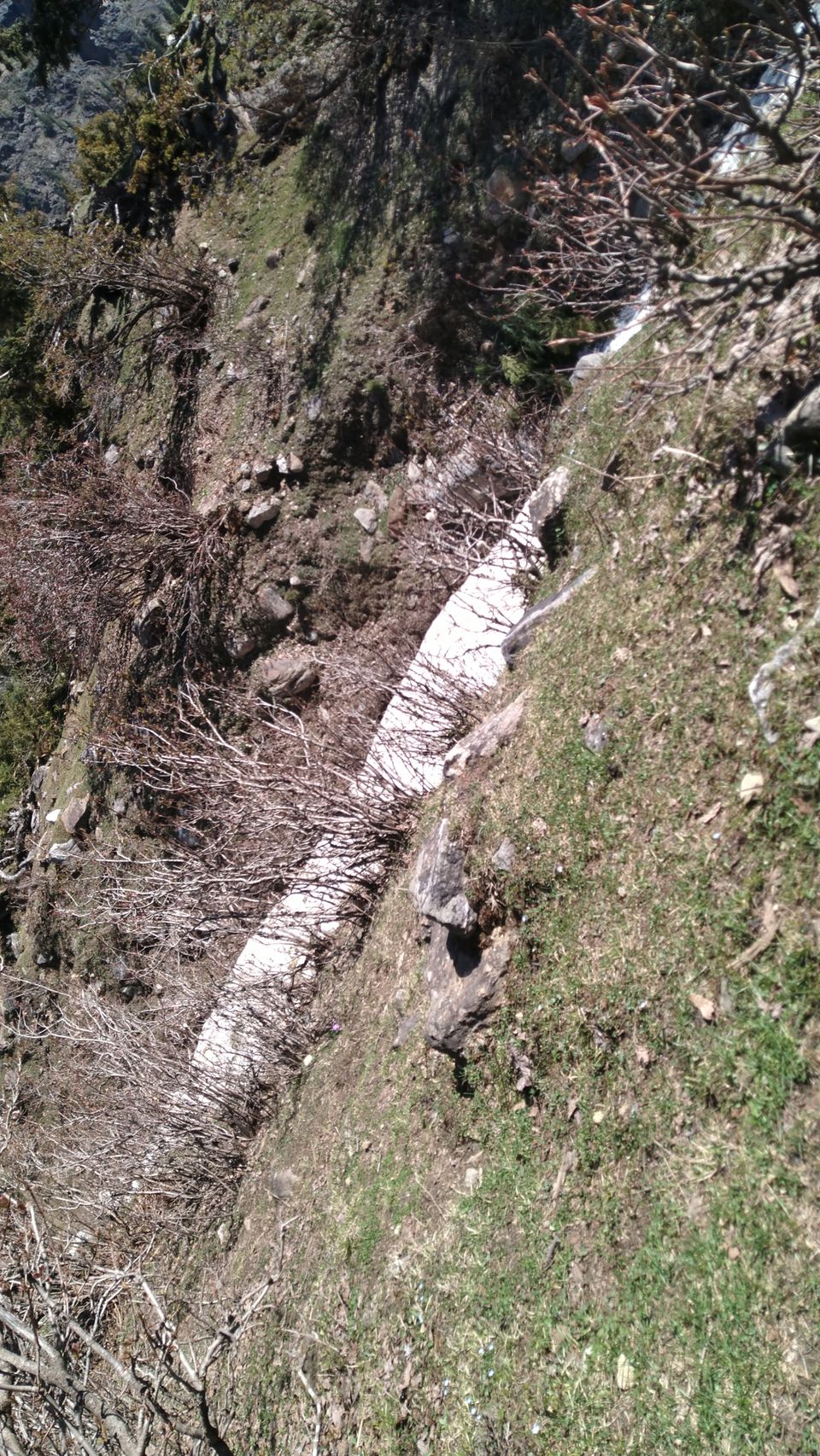 Photo of Amazing Trip by rahul singh