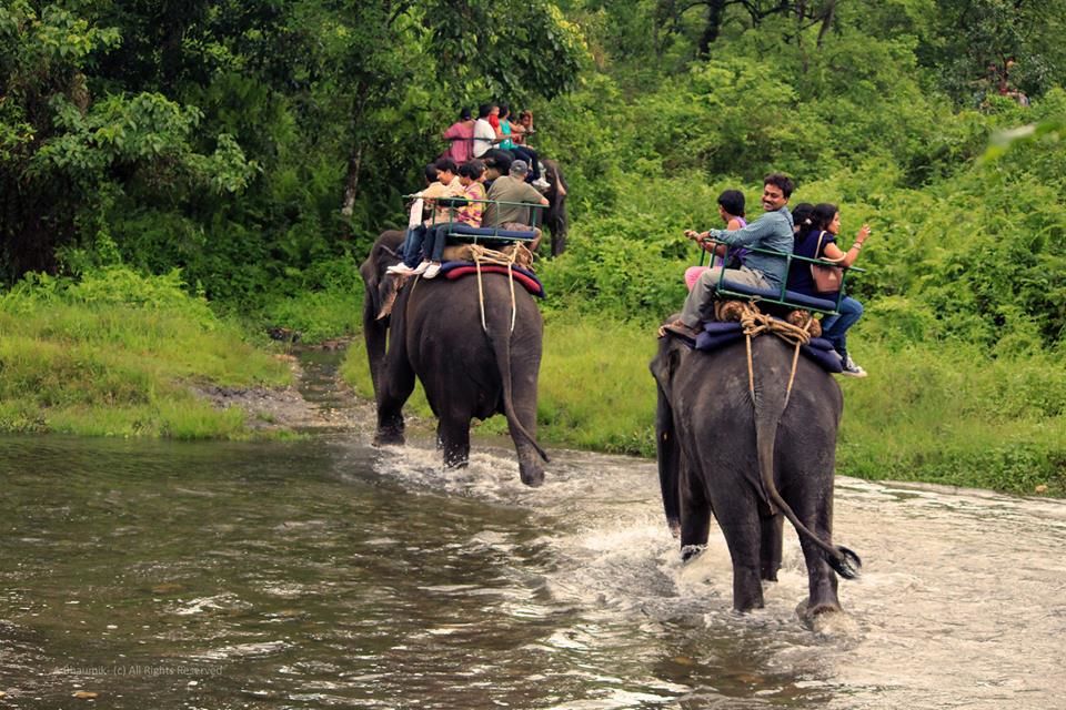 Photo of Jaldapara, West Bengal, India by Sagnik Basu