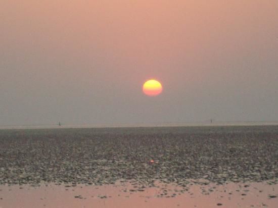 Photo of Chandipur, Odisha, India by Sagnik Basu