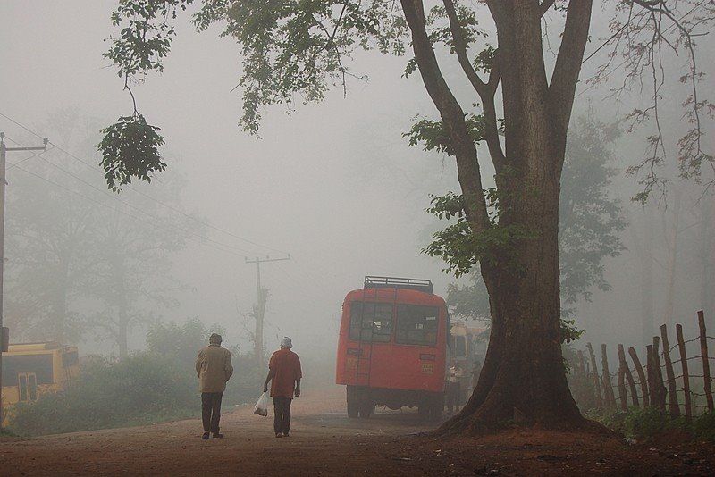 Photo of Calm, Serene and Divine: Coorg Calling ! 3/11 by Sagnik Basu