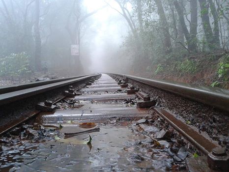 Photo of Foggy Fate at Matheran 8/20 by Sagnik Basu