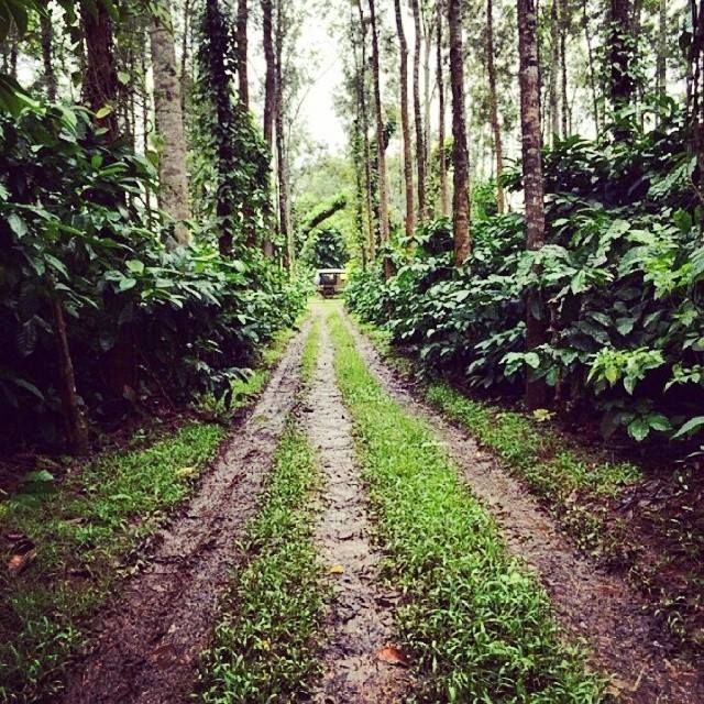 Photo of Calm, Serene and Divine: Coorg Calling ! 4/11 by Sagnik Basu
