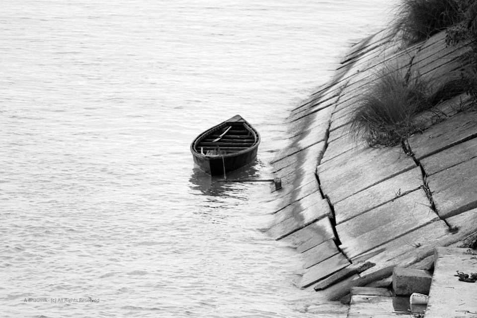 Photo of Dooars: The shared custody 12/14 by Sagnik Basu