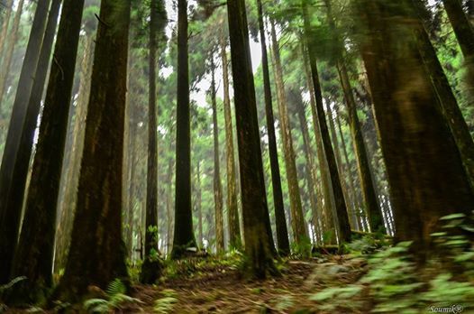 Photo of A rendezvous with Kalimpong! (Part 1) 20/22 by Sagnik Basu