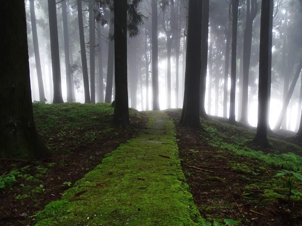 Photo of A rendezvous with Kalimpong! (Part 1) 22/22 by Sagnik Basu