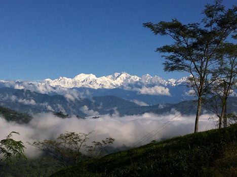 Photo of Backpacking @ Queen of Hills: Darjeeling 8/21 by Sagnik Basu