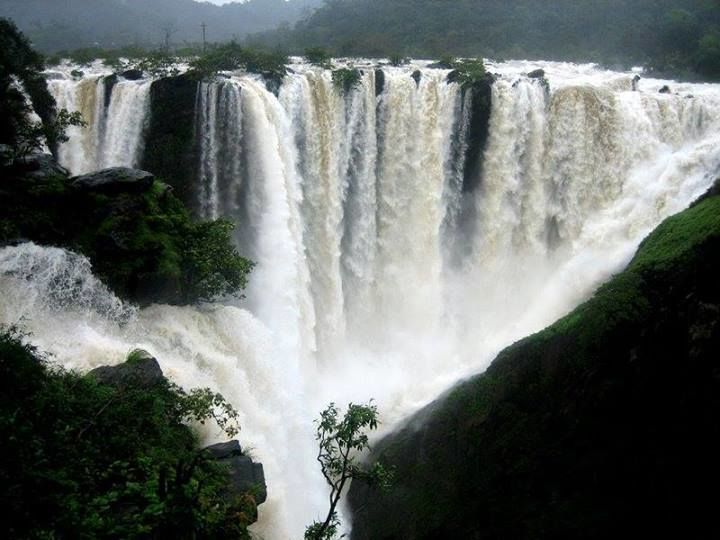 Photo of Jog Falls, a monsoon getaway 1/1 by Sagnik Basu