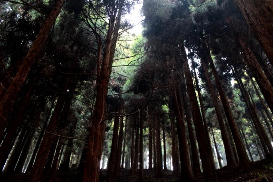 Photo of A rendezvous with Kalimpong! (Part 2) 5/13 by Sagnik Basu