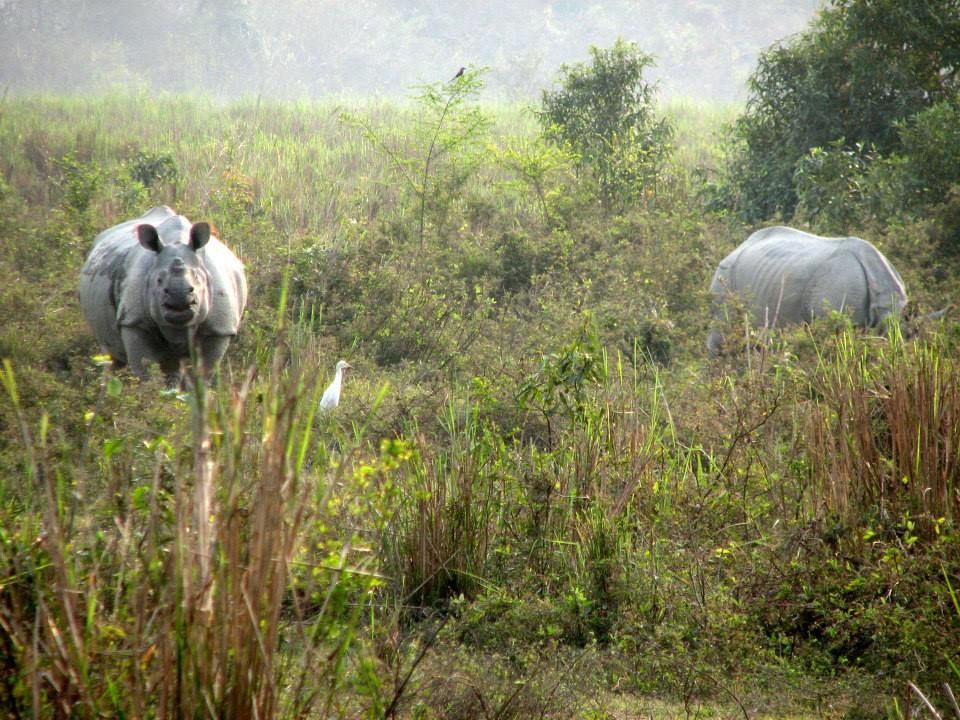 Photo of Assam, "Ahoy sister!" 6/12 by Sagnik Basu