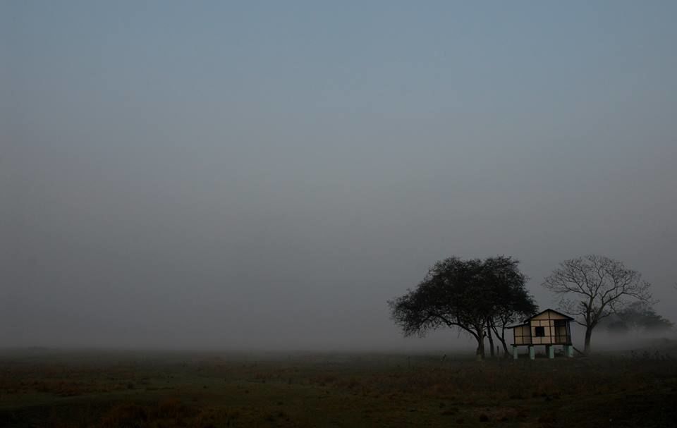 Photo of Assam, "Ahoy sister!" 7/12 by Sagnik Basu