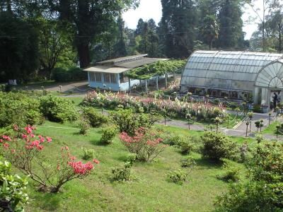 Photo of Backpacking @ Queen of Hills: Darjeeling 2/21 by Sagnik Basu