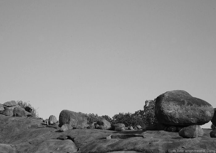 Photo of The ruins of Hampi by Sagnik Basu
